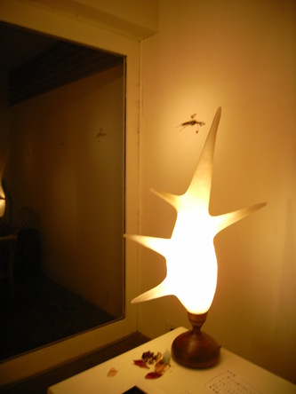 nenmatunenshi (30).jpg