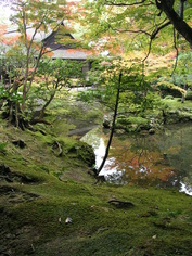 noko (50).jpg