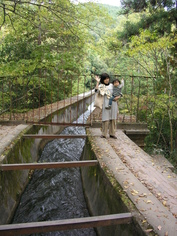 noko (54).jpg