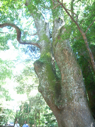 oise (28).jpg