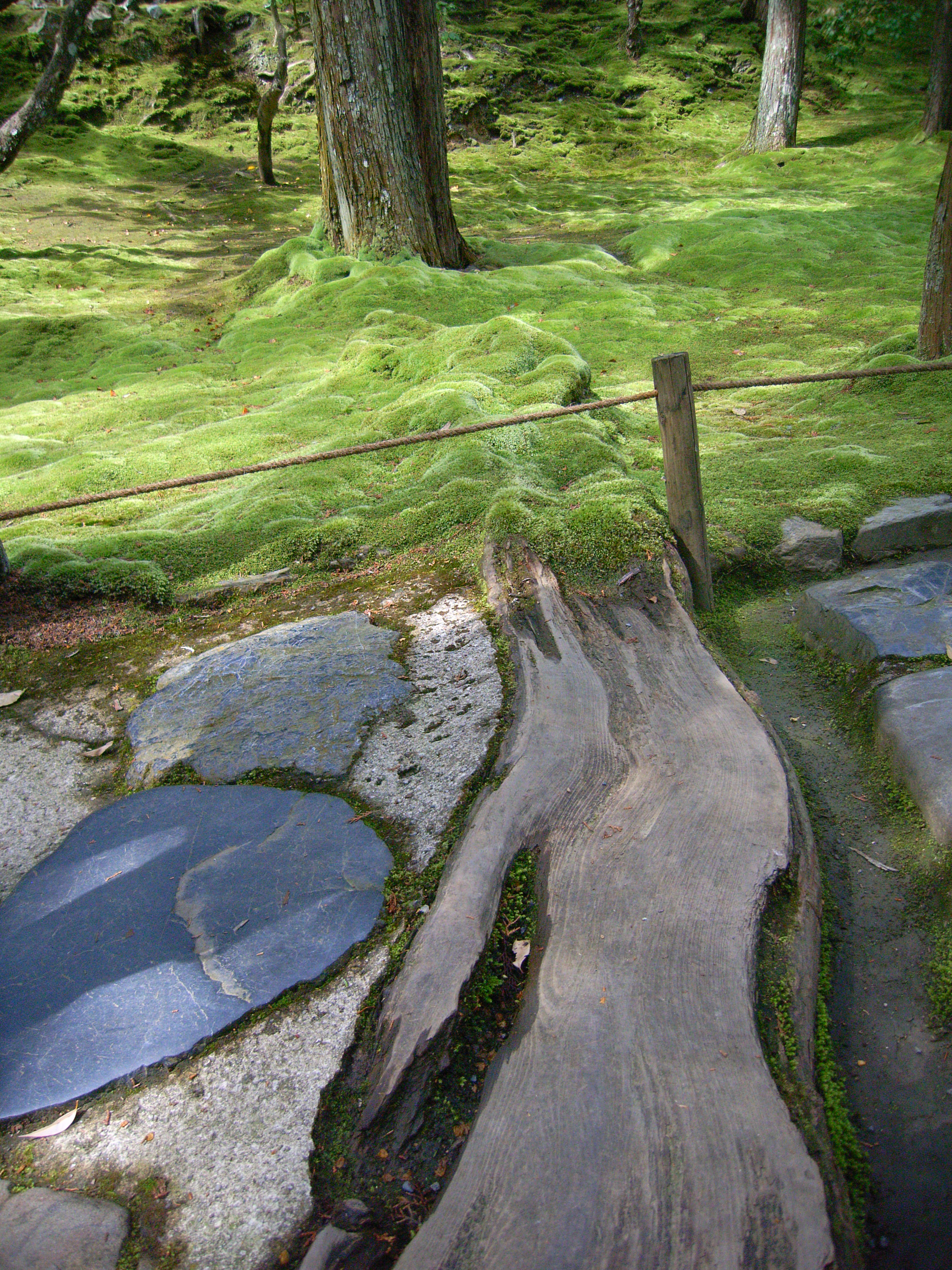 写真 077.jpgのサムネール画像