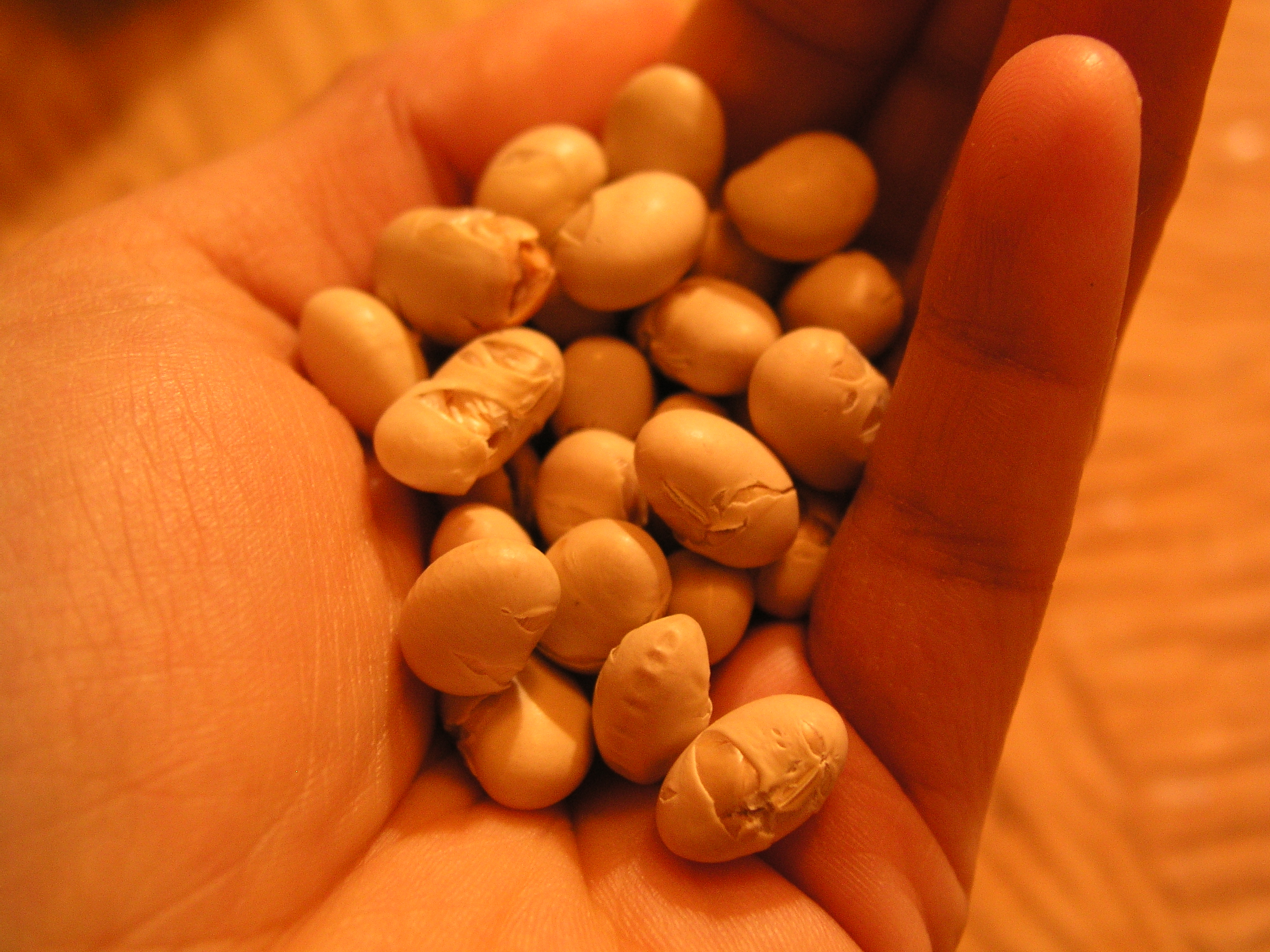 20100203 011.jpgのサムネール画像