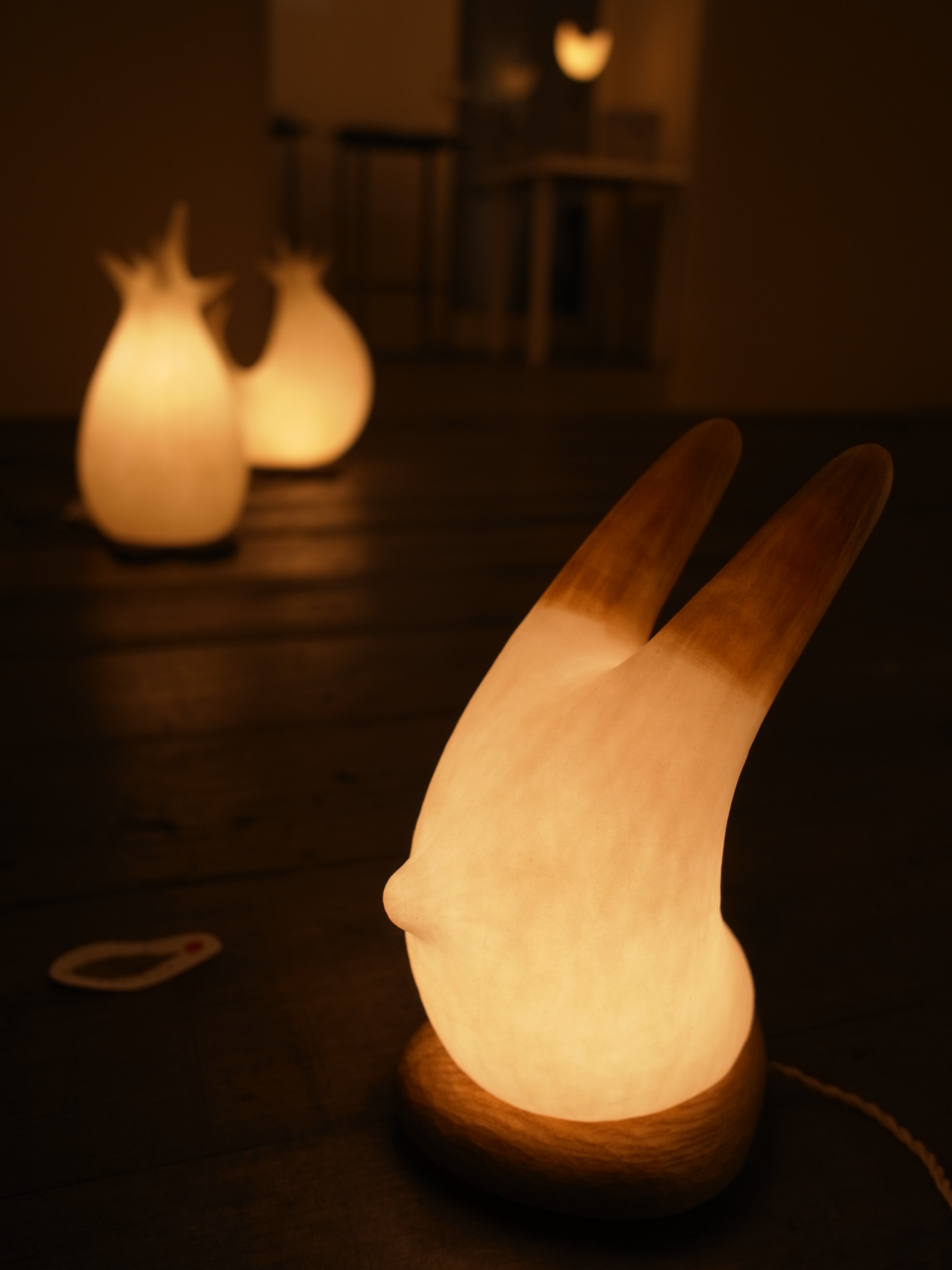 201011mushikoten 095.jpg