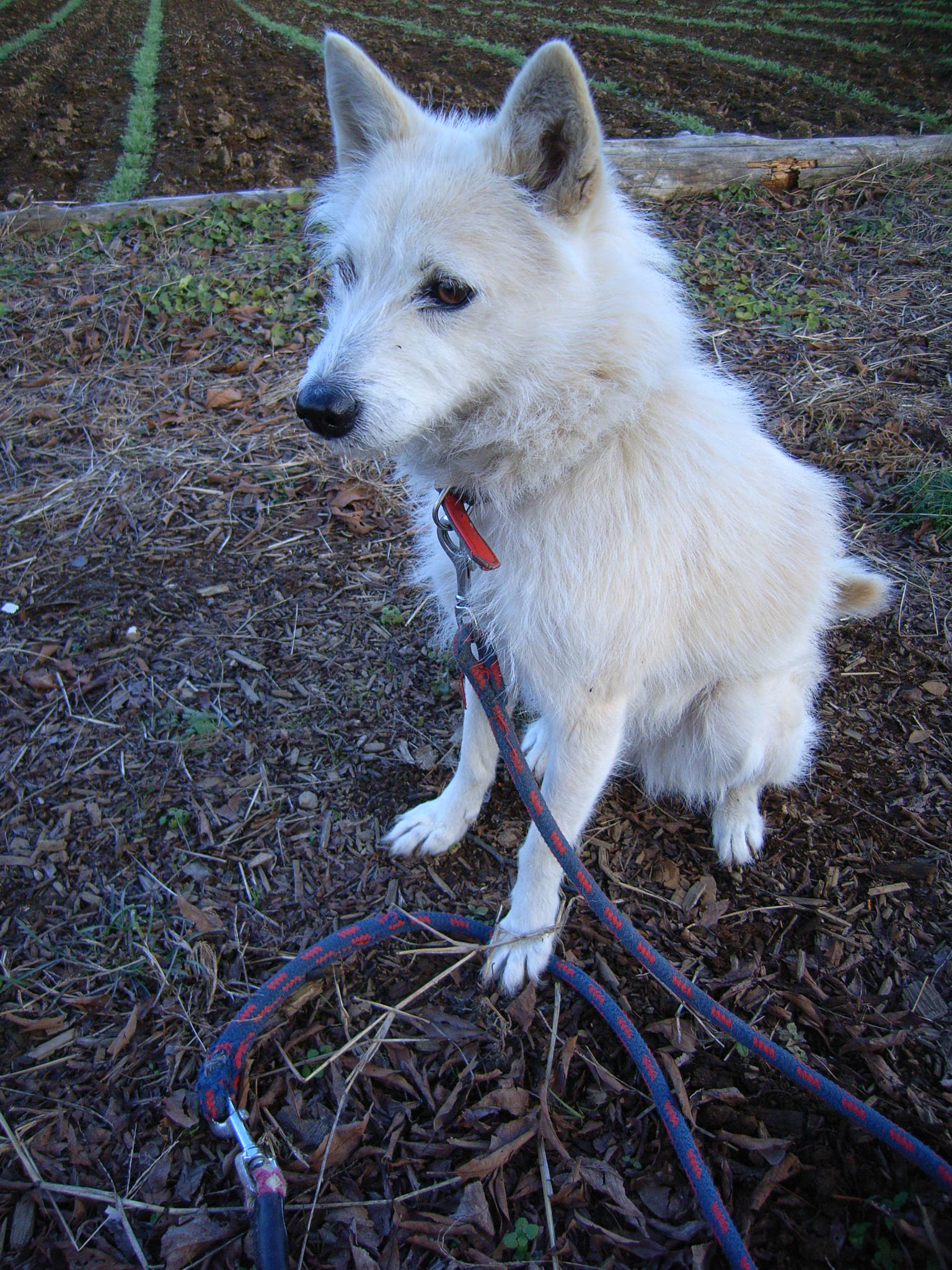 fumfum (33).jpgのサムネール画像