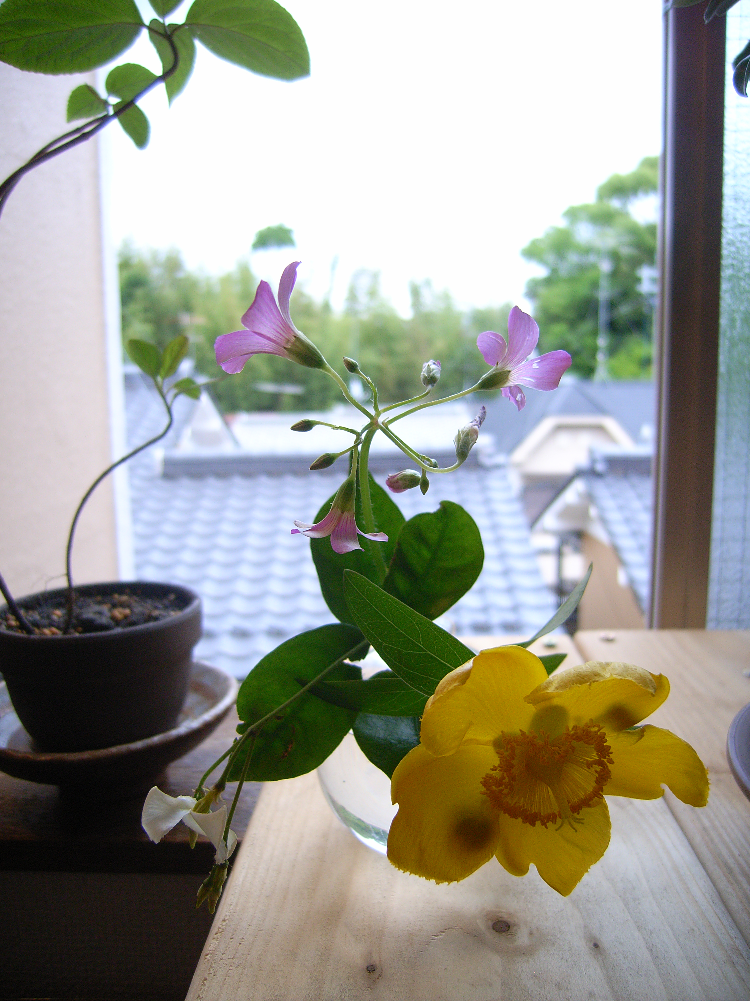 hanadoro.jpgのサムネール画像