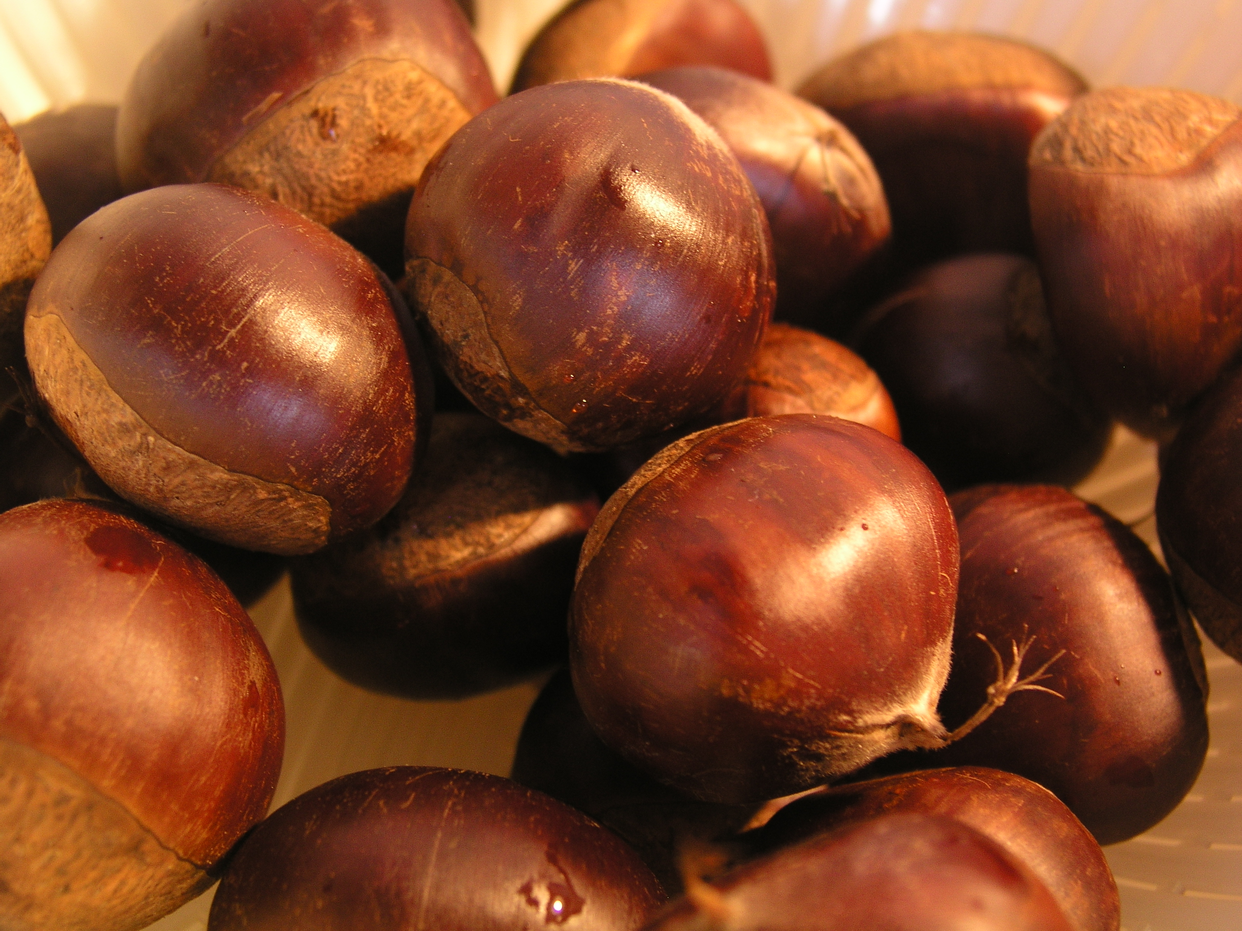 kusaki 020.jpgのサムネール画像