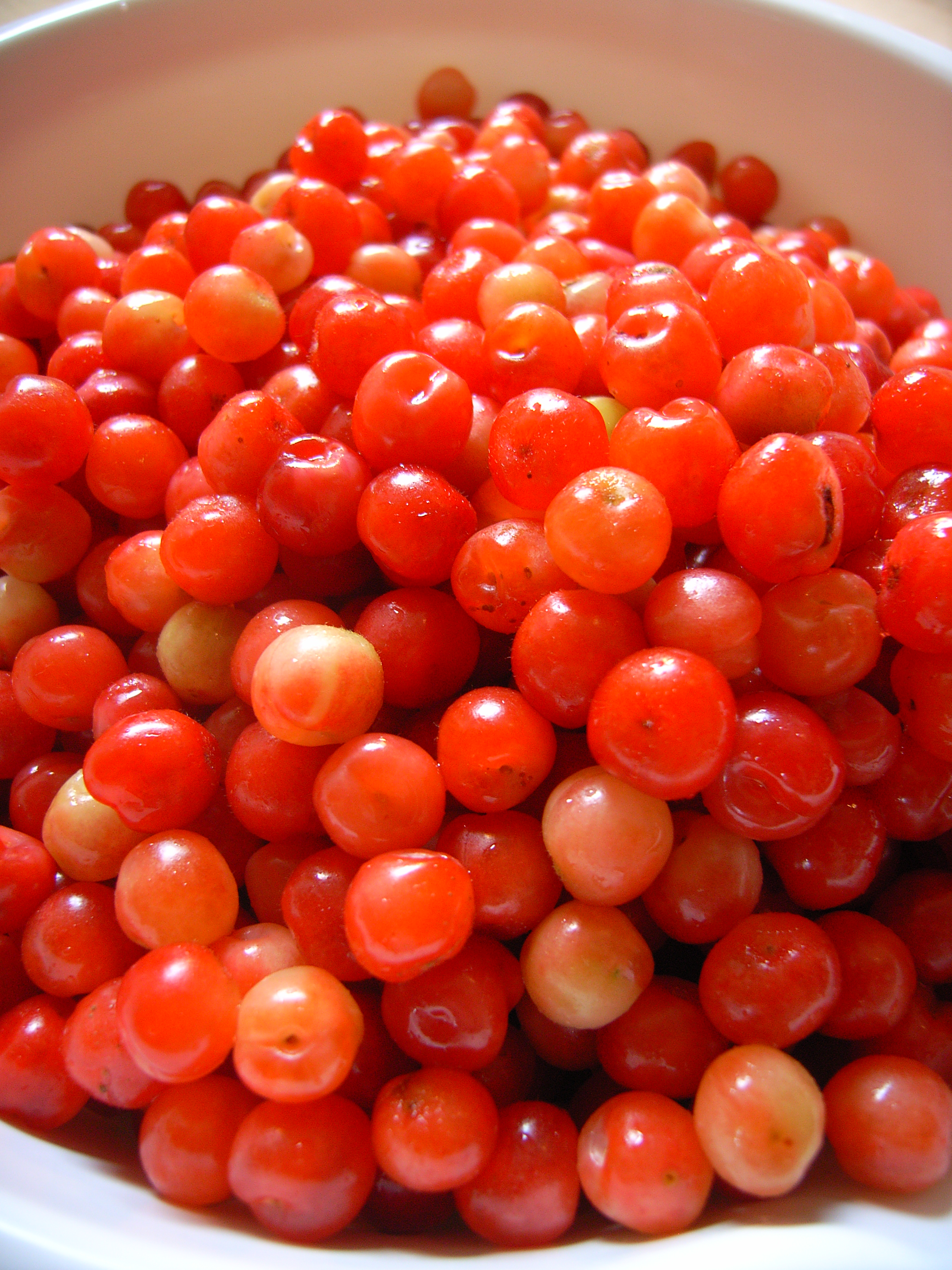 yusuraume (3).jpgのサムネール画像