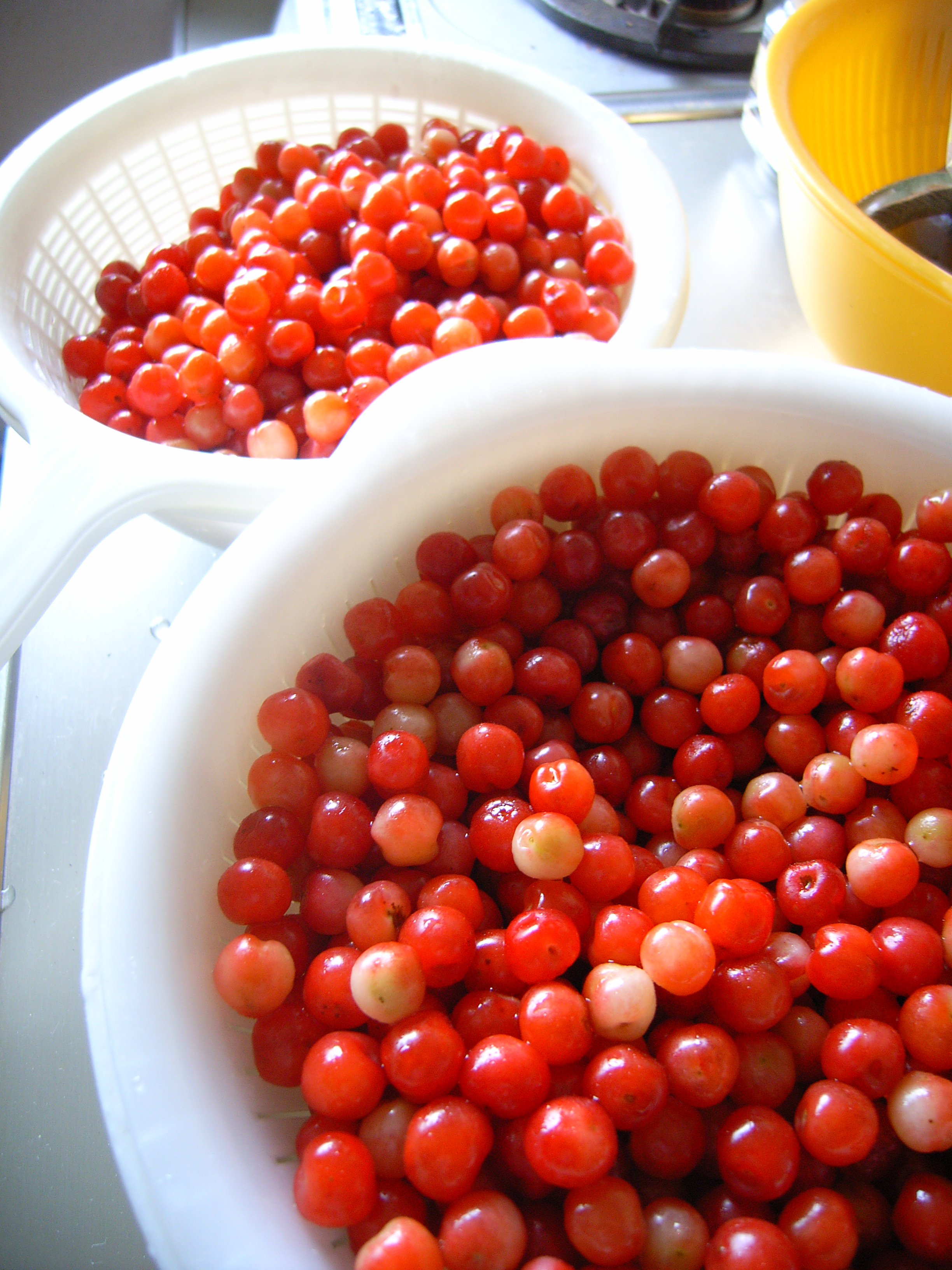 yusuraume (6).jpgのサムネール画像