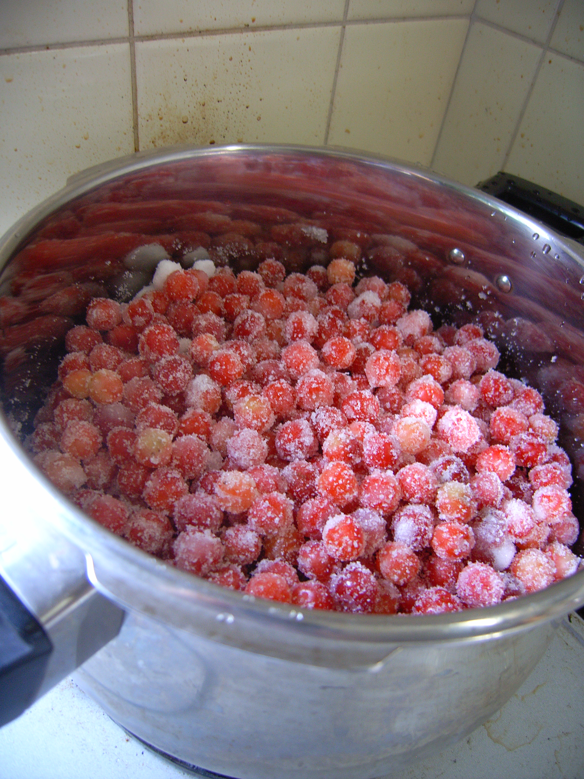 yusuraume (7).jpgのサムネール画像